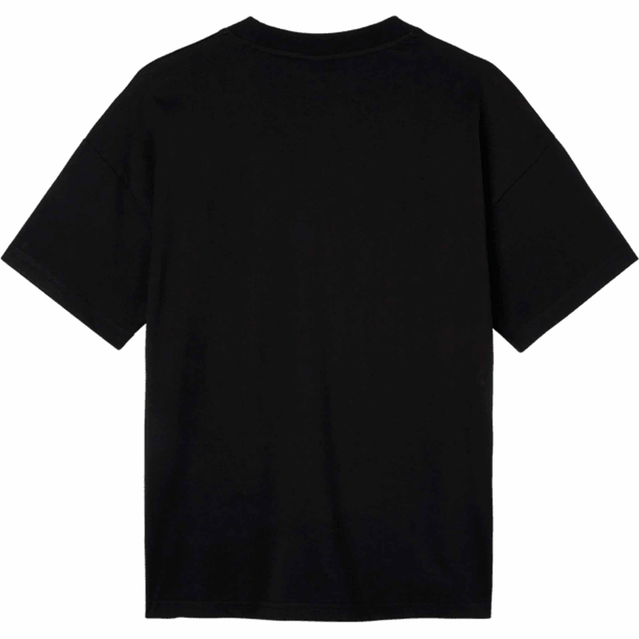 Capita Block Tee Black T Shirt