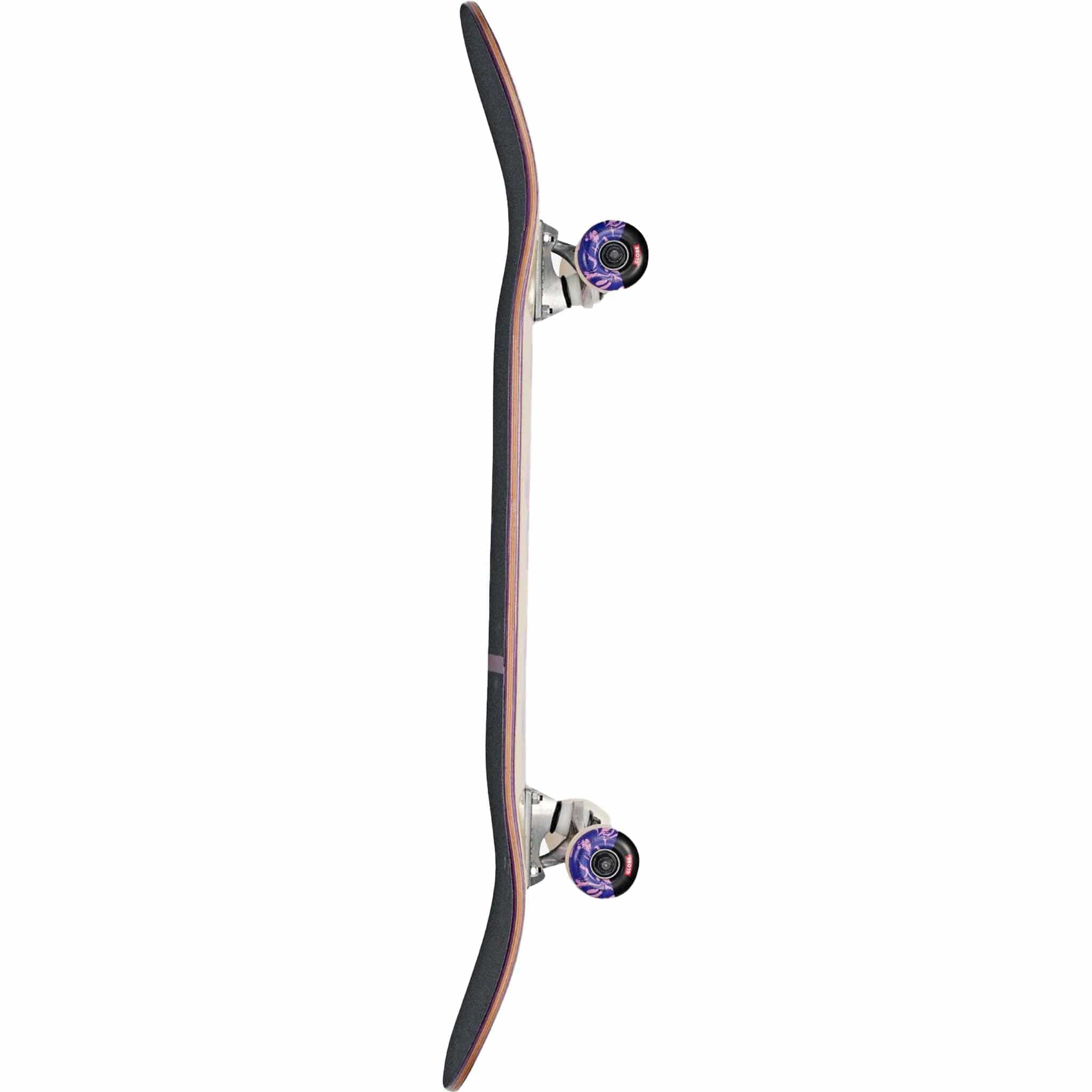 Globe G1 Mind Expansion Off White Purple 8.5" Skateboard Complete Skateboard Complete