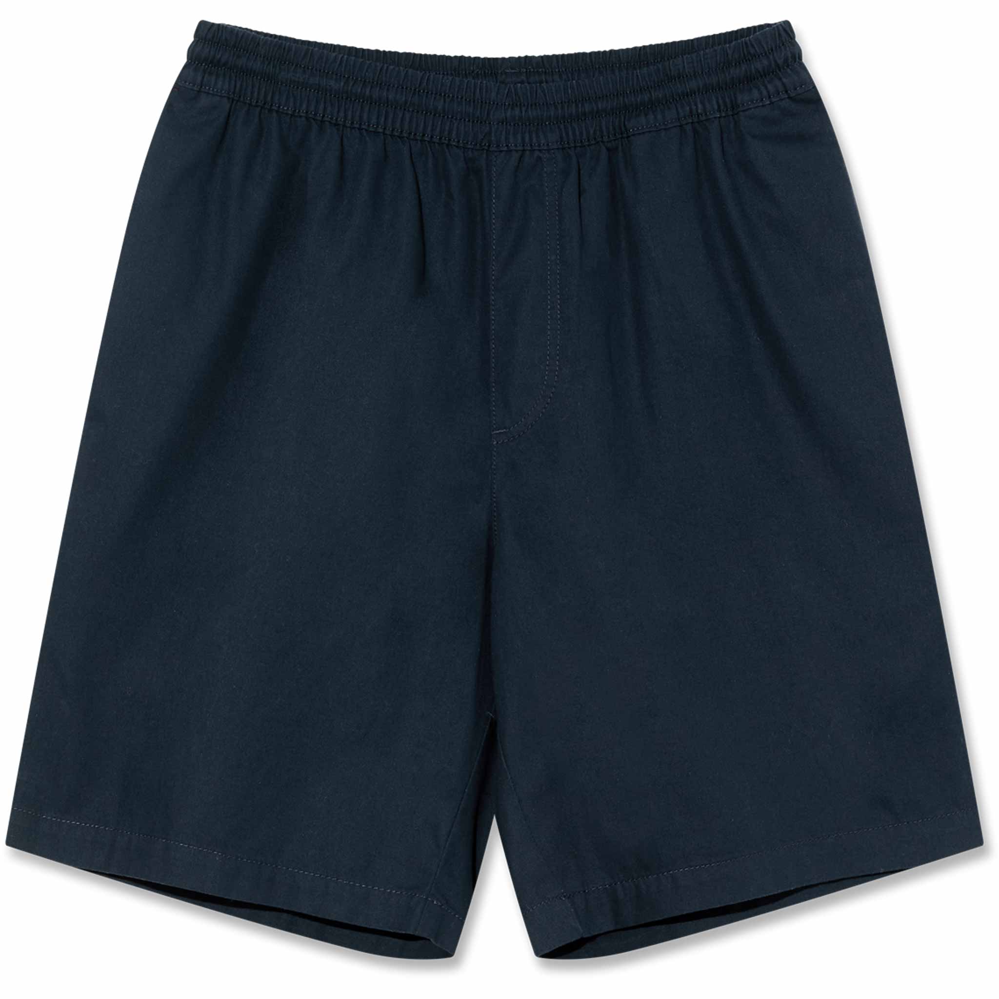 Polar Surf Shorts New Navy Shorts