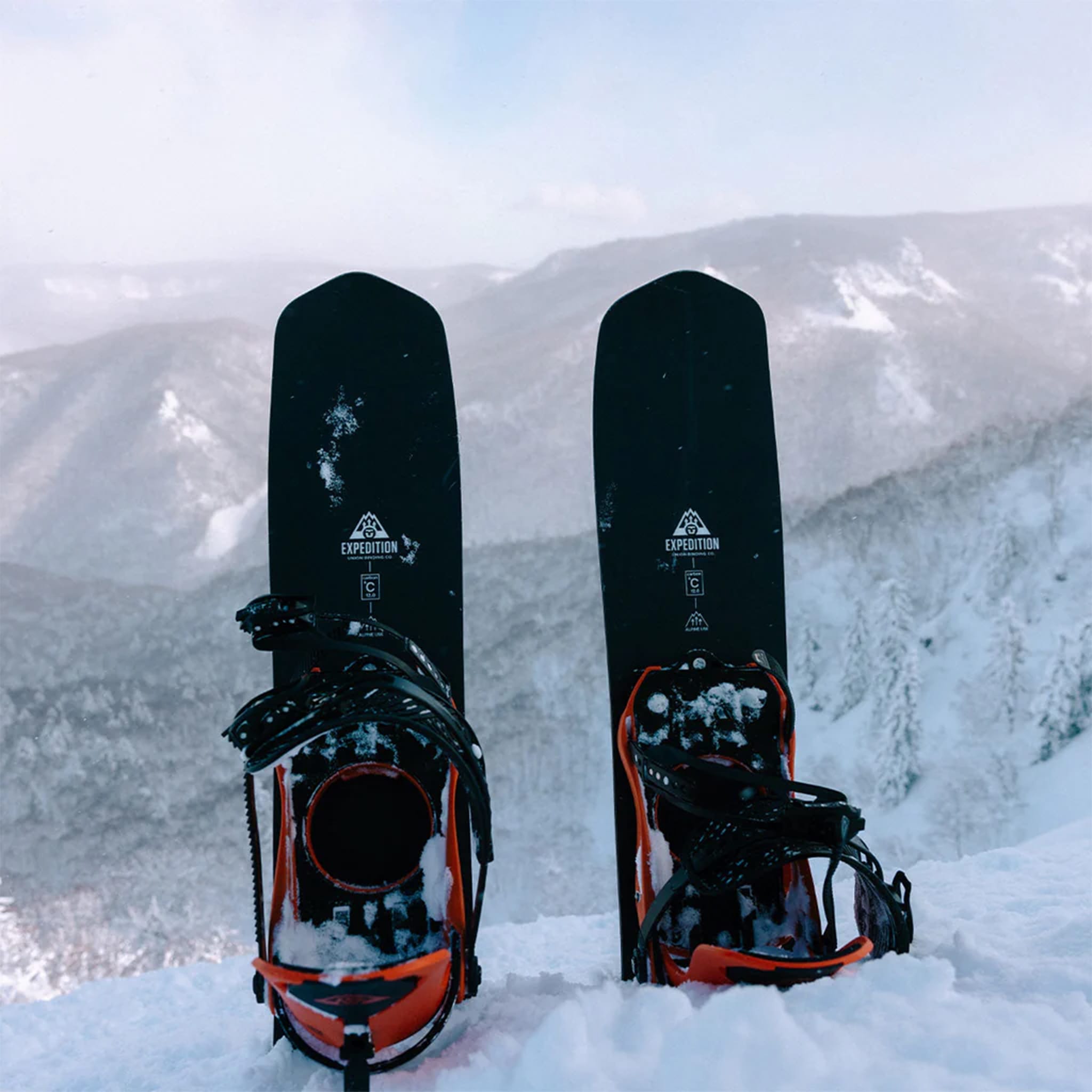 Union Rover Carbon Approach Skis Splitboard