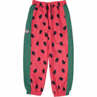 Airblaster Wind Pant Watermelon Pants
