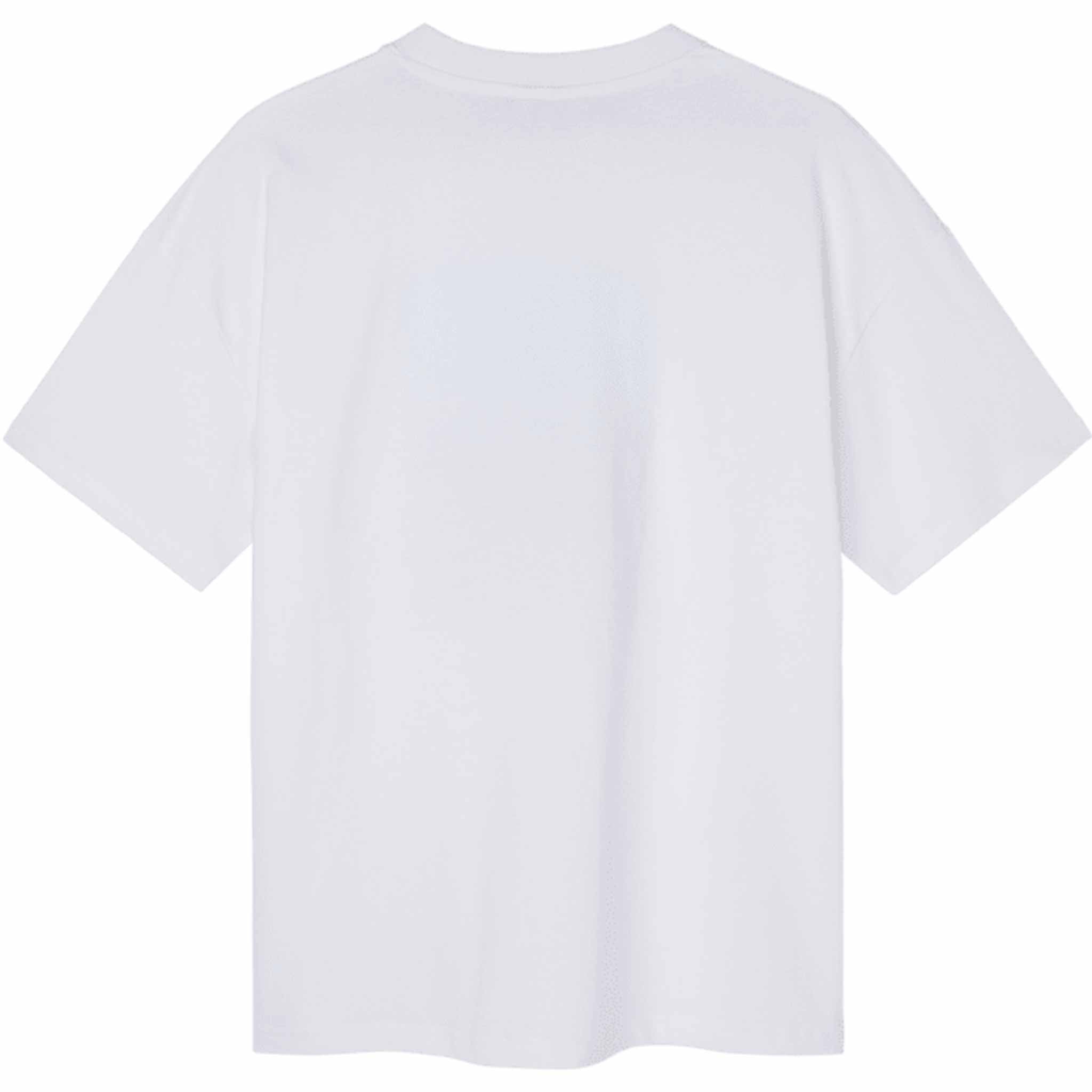Capita Retro Tee White T Shirt