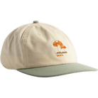 Coal Evergreen Hat Bone Sage Hats