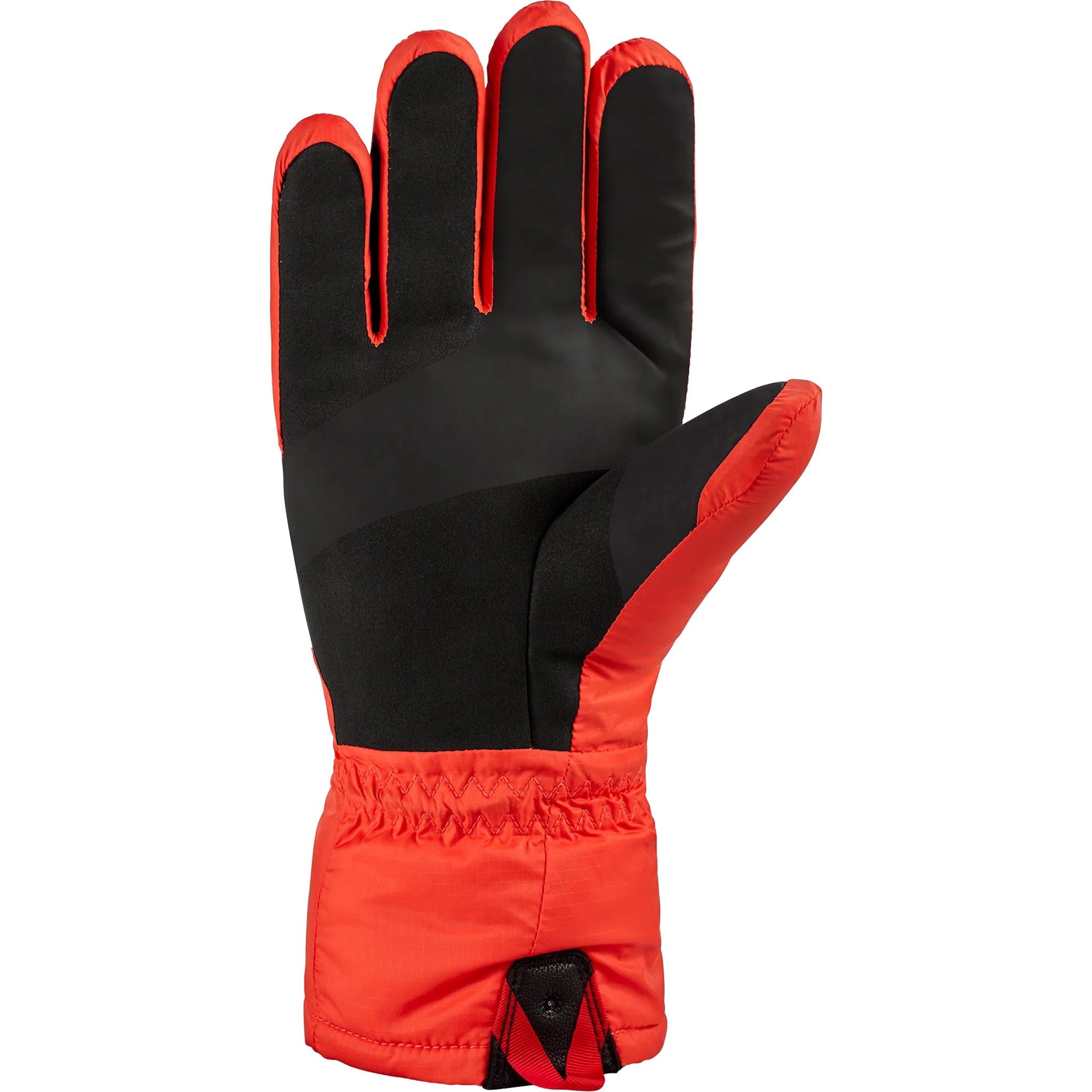 Dakine Phoenix Gore-Tex Glove Black Gloves & Mitts