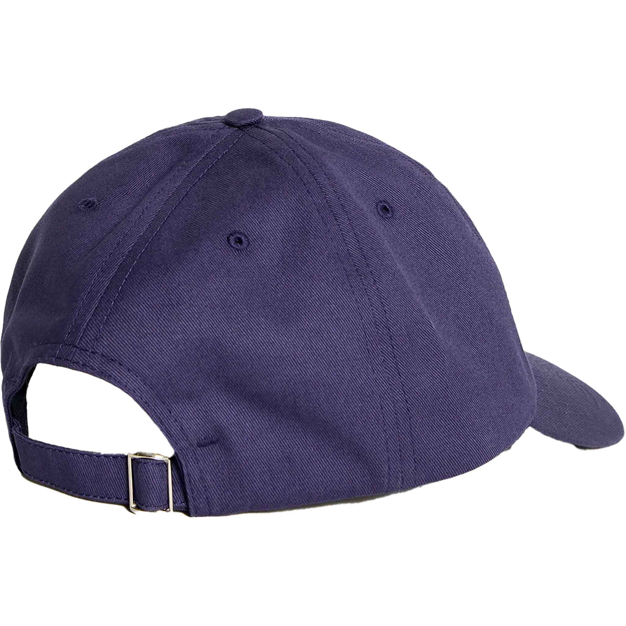 Polar Sai Cap College Logo Navy Hats