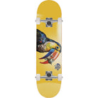 Push Toucan FP Soft Top Skateboard Complete 7.25" Skateboard Complete