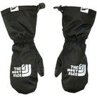 Salmon Arms Retro Mitt The Nort Face Gloves & Mitts