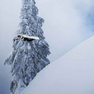 Shorty's All Mountain Twin Snowboard 2026 Snowboard